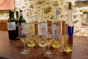 le Jurançon, un vin à redécouvrir.